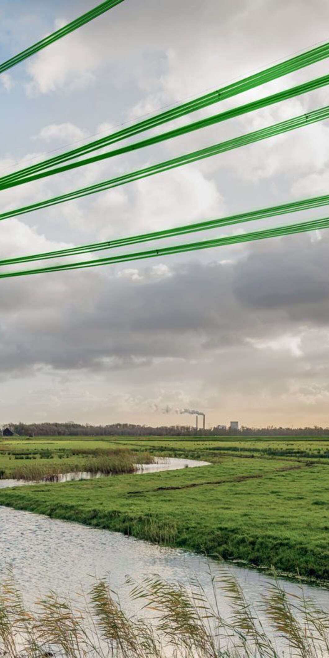 Een elektriciteitsmast staat in een weiland. De elektriciteitslijnen zijn groen.