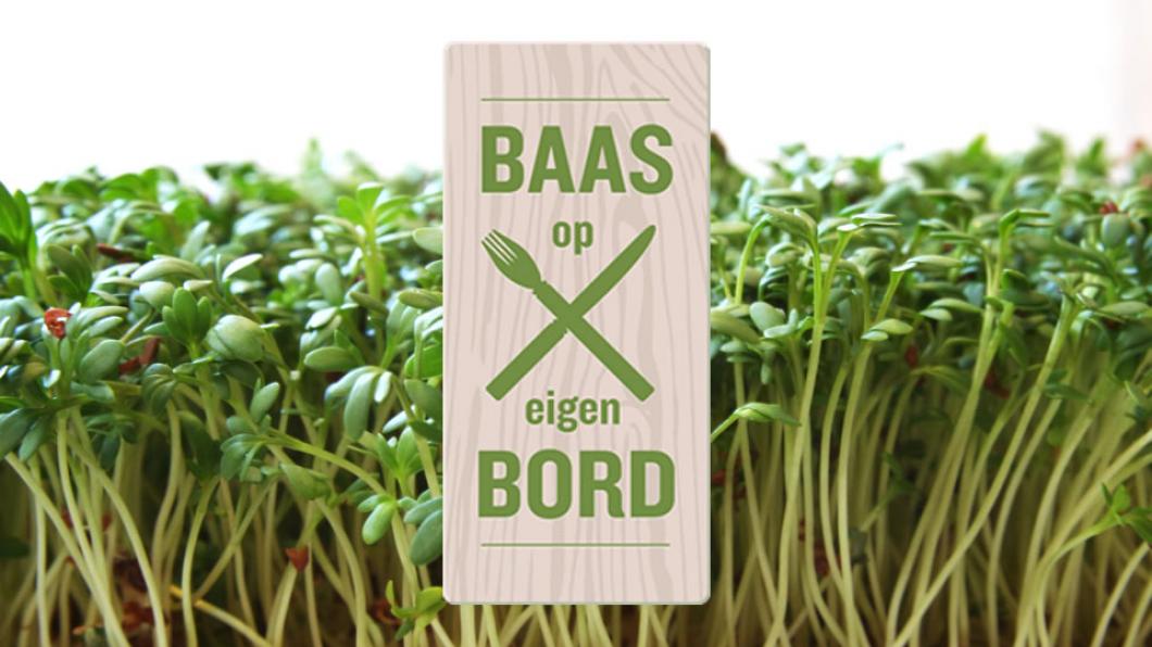 Baas op eigen Bord