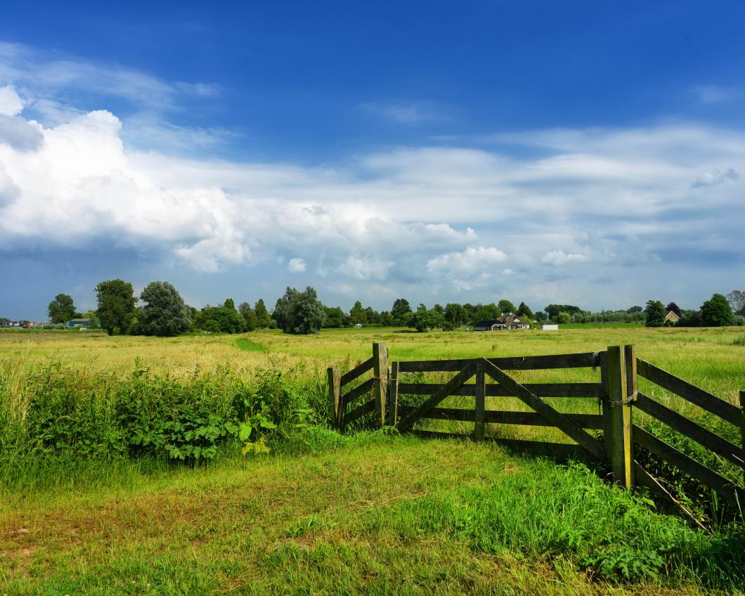 Een hek temidden van groene weides in Nederland