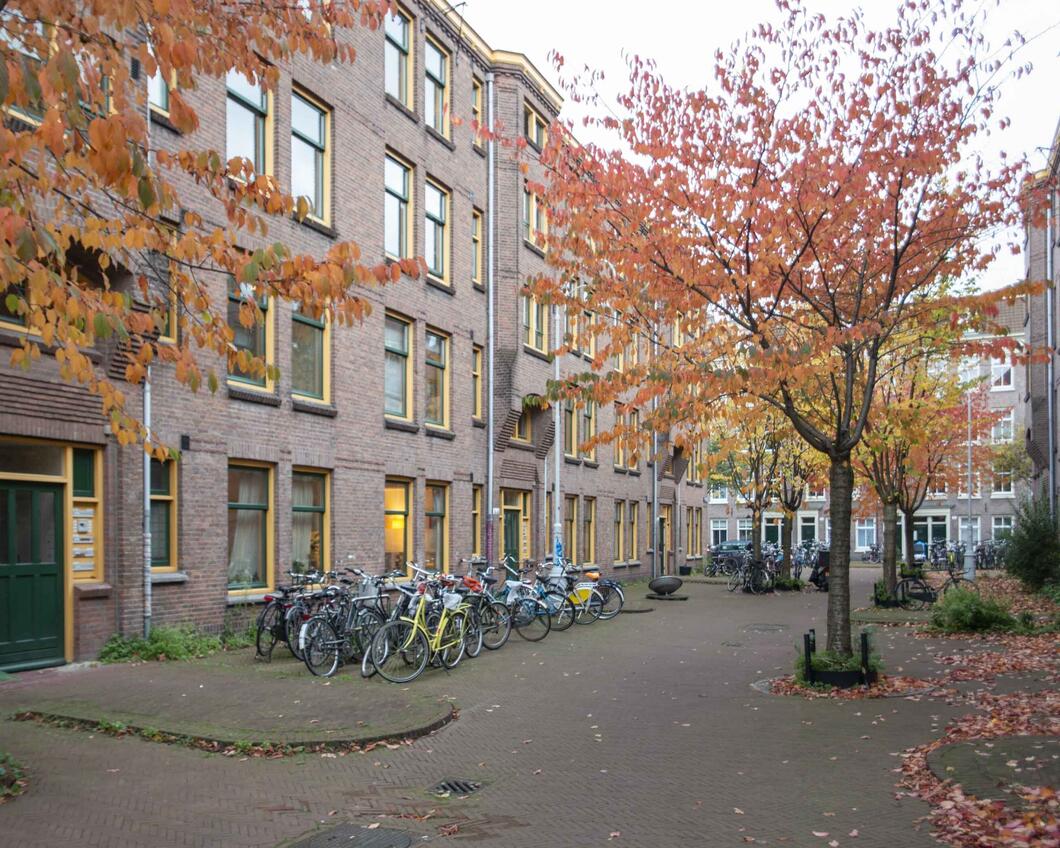 Woningen grenzend aan een pleintje met veel geparkeerde fietsen en bomen in rode herfstkleuren 
