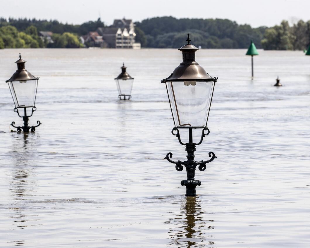 niet gebruiken, foto is voor eenmalig gebruik