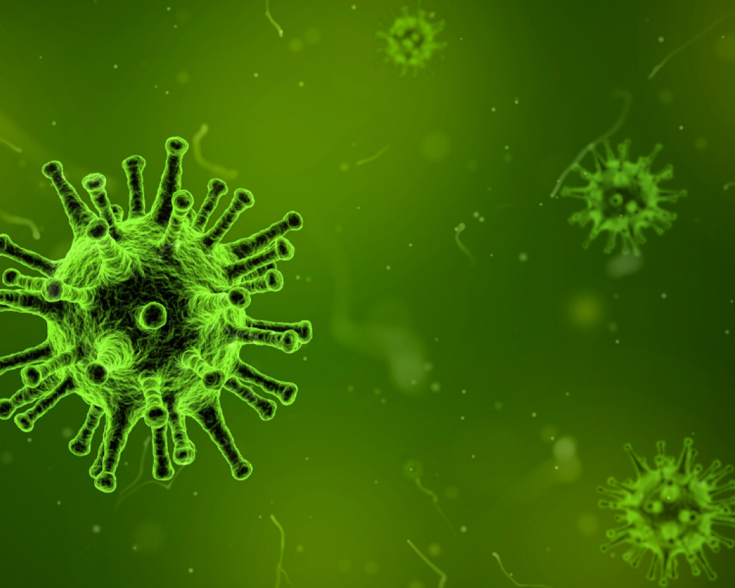 Corona - Rechten vrij .png