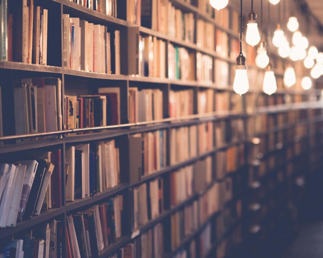 janko-ferlic-sfL_QOnmy00-unsplash copy.jpg