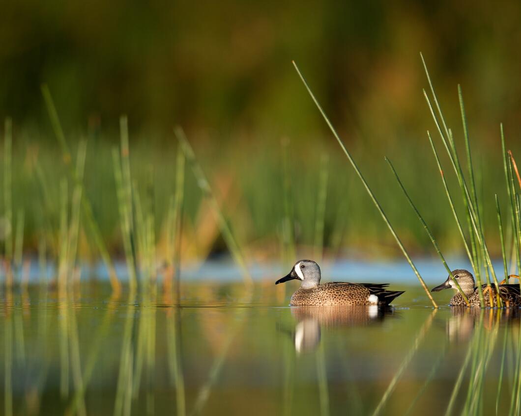 ray-hennessy-216038-unsplash (1).jpg