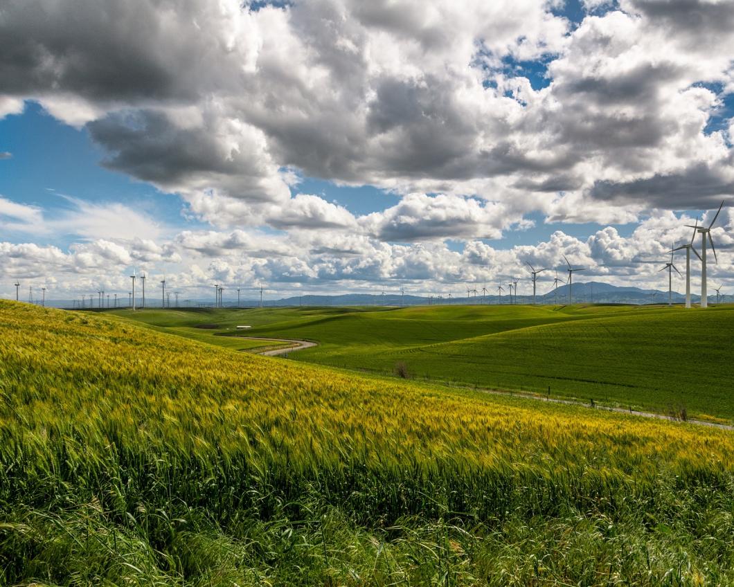 wind-farm-1209784_1920.jpg