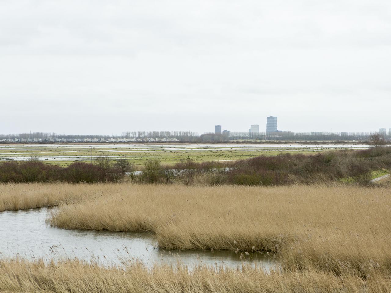 Mooi polderlandschap in Flevoland