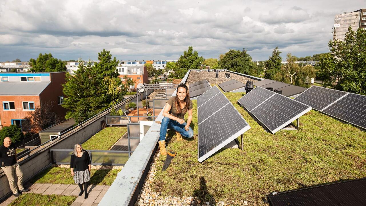 Groen dak met zonnepanelen